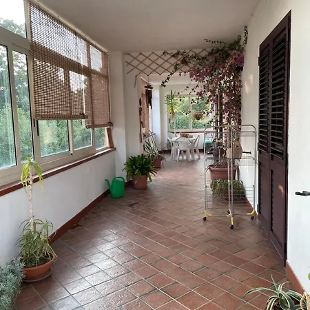 Holiday home Indipendente Fra I Pini Della Sila Cs