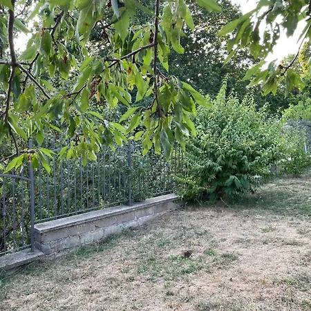 Indipendente Fra I Pini Della Sila Cs Holiday home