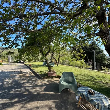 Indipendente Fra I Pini Della Sila Cs Castiglione Cosentino