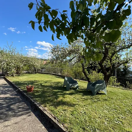 Indipendente Fra I Pini Della Sila Cs *